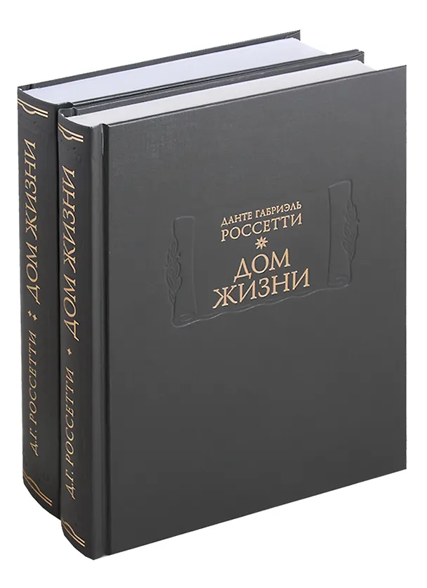 Книга Дом жизни (комплект из 2 книг) () — 1