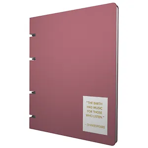 Тетрадь 120л кл. "NUANCES. Агат" на кольцах, смен.блок, обл. кож.зам, нашивка, инд.уп