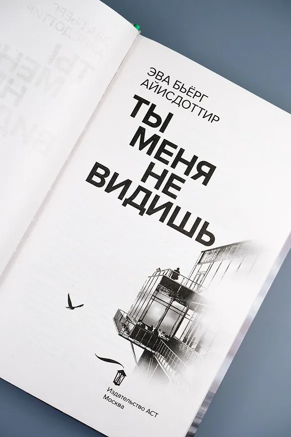 Книга Ты меня не видишь (Эва Бьёрг Айисдоттир) — 10