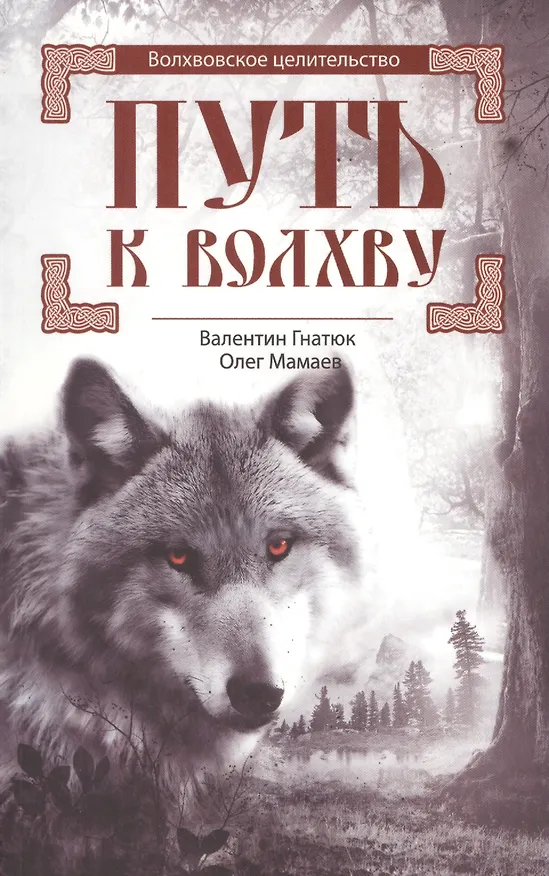 Книга Путь к Волхву (Валентин Гнатюк) — 1