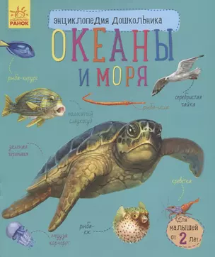 Океаны и моря — 2705784 — 1