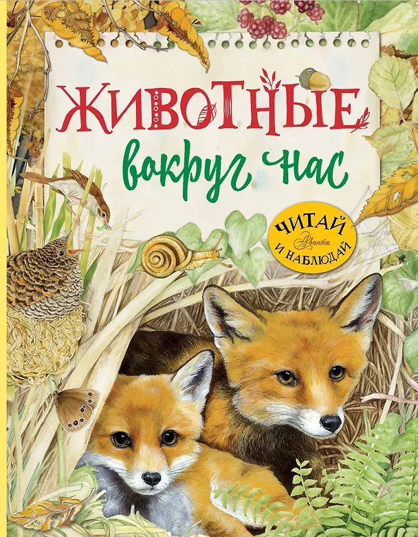 Книга Животные вокруг нас (Р. Барсотти) — 1