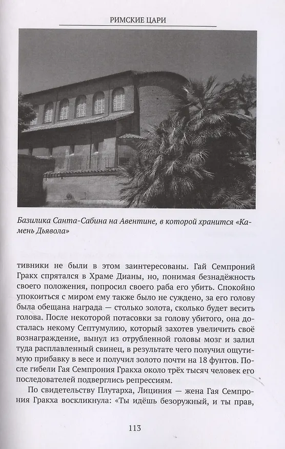 Книга Римские цари История Древнего Рима (Анна Сальватори) — 7
