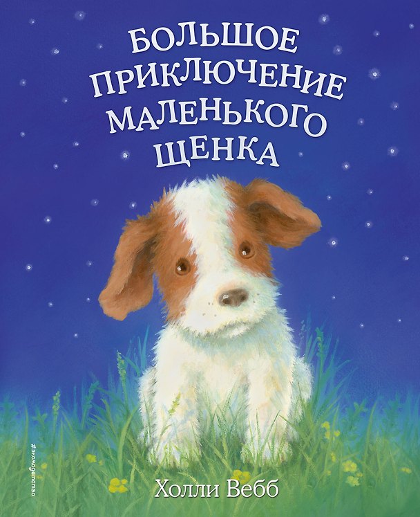 Книга Большое приключение маленького щенка (Холли Вебб) — 1