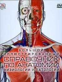 Книга Большой иллюстрированный справочник по анатомии,физиологии (Стив Паркер)