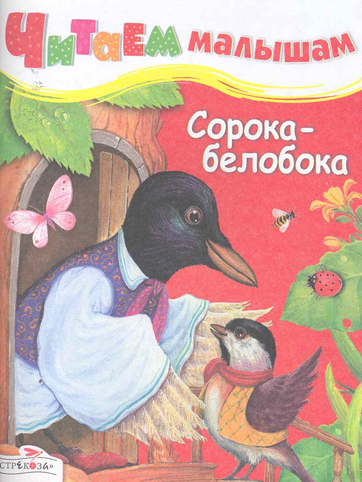 

Сорока-белобока