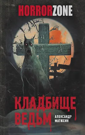 Книга Кладбище ведьм (Александр Матюхин)