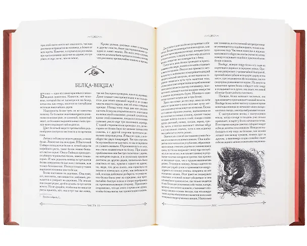 Книга Охота в России во всех ее видах. Иллюстрированная энциклопедия. Лимитированный тираж в кожаном переплете ручной работы. Цифра. (Михаил Вавилов) — 5
