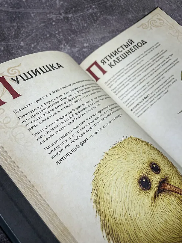 Книга Магический бестиарий. Волшебные существа из Гарри Поттера (Гризельда Фогг) — 9