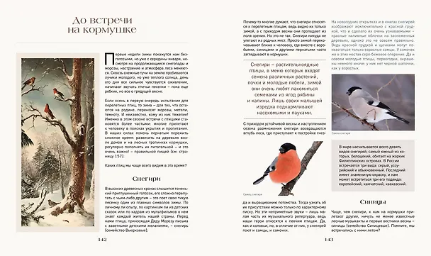 Книга Тайная жизнь леса. Русская природа в фактах и зарисовках (Наталья Савилова) — 12