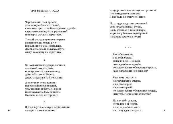 Книга Видение. Избранное (Владимир Гандельсман) — 10