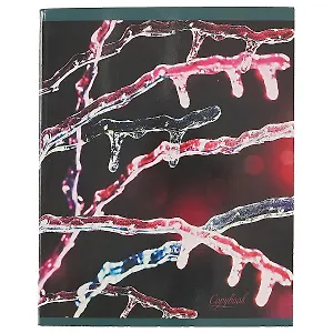 Тетрадь в клетку Unnika, "Хрупкая красота", 48 листов, в ассортименте