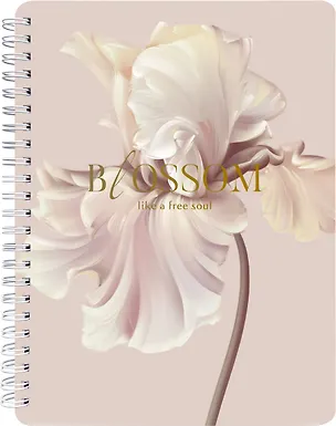 Тетрадь 120л кл. "Blossom", ирис, спираль, карт.обл., ламинация, тиснение золотой фольгой 3151104
