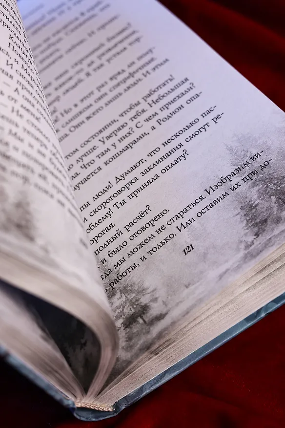 Книга Тайна старого пансиона (Елена Ликина) — 14