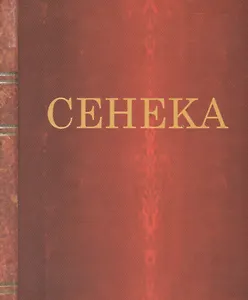 Нравственные письма к Луцилию