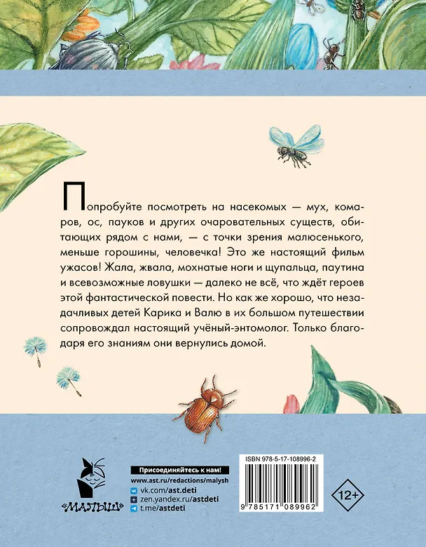 Книга Необыкновенные приключения Карика и Вали (Ян Ларри) — 2