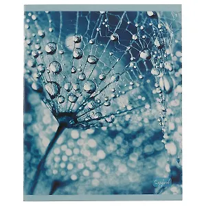 Тетрадь в клетку Unnika, "Макросъёмка", 48 листов, в ассортименте