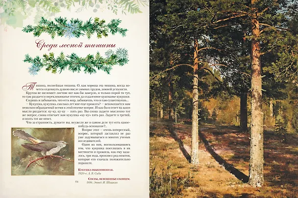 Книга Дары русского леса. Грибы, ягоды и целительные растения (Николай Золотницкий) — 9