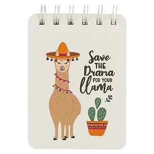 Блокнот «Nice llama», 80 листов, А6