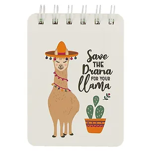 Блокнот «Nice llama», 80 листов, А6 249245