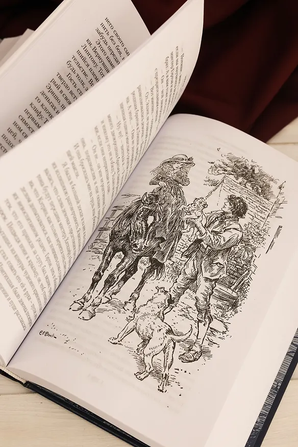 Книга Грозовой перевал. Стихотворения (Эмили Джейн Бронте) — 20
