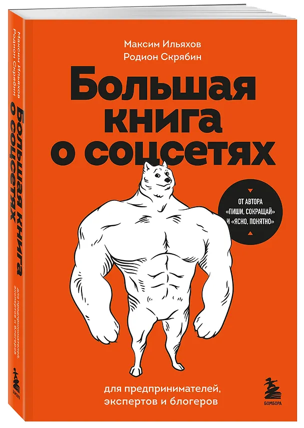 Книга Большая книга о соцсетях для предпринимателей, экспертов и блогеров (Максим Ильяхов, Родион Скрябин) — 4