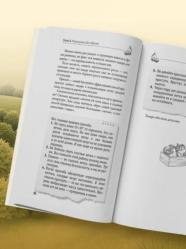 Книга Обрезка и формировка деревьев и кустарников (Николай Курдюмов) — 10