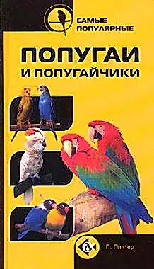 Самые популярные попугаи и попугайчики — 2137621 — 1