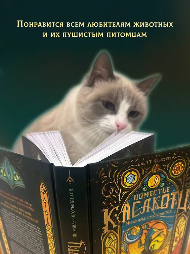 Книга Поместье Каслкотц. Иномирье просыпается (Ален Т. Пюиссегюр) — 9