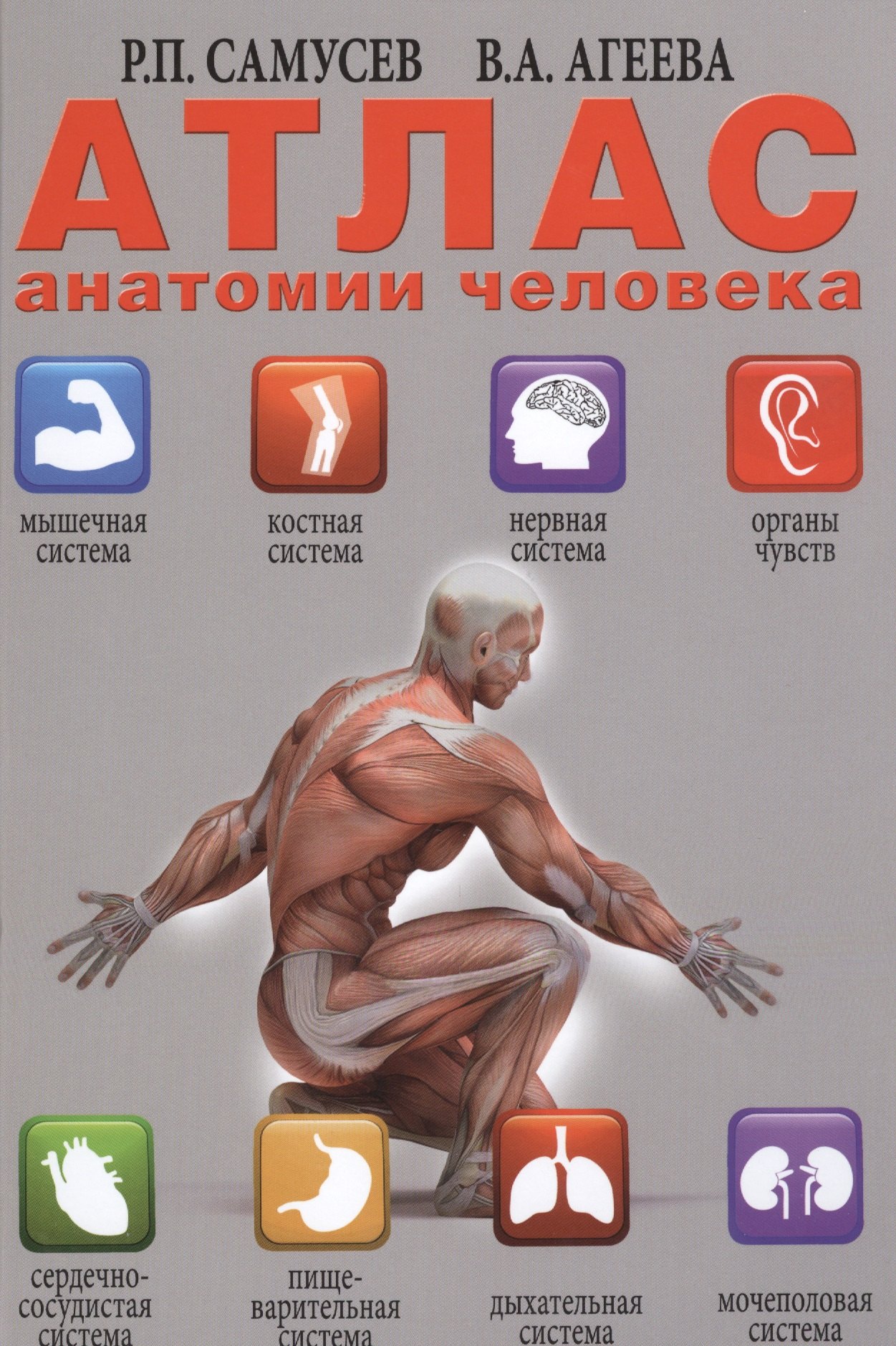

Атлас анатомии человека