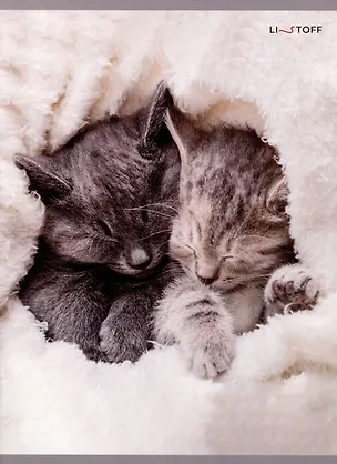 Тетради в клетку Listoff, "Пушистый сон", А4, 48 листов 3010832