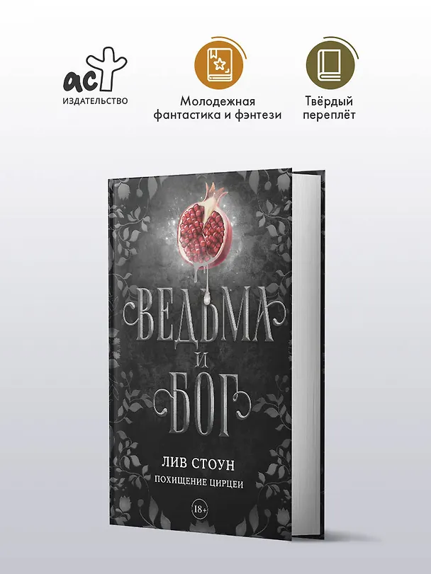 Книга Ведьма и бог. Похищение Цирцеи (Лив Стоун) — 5
