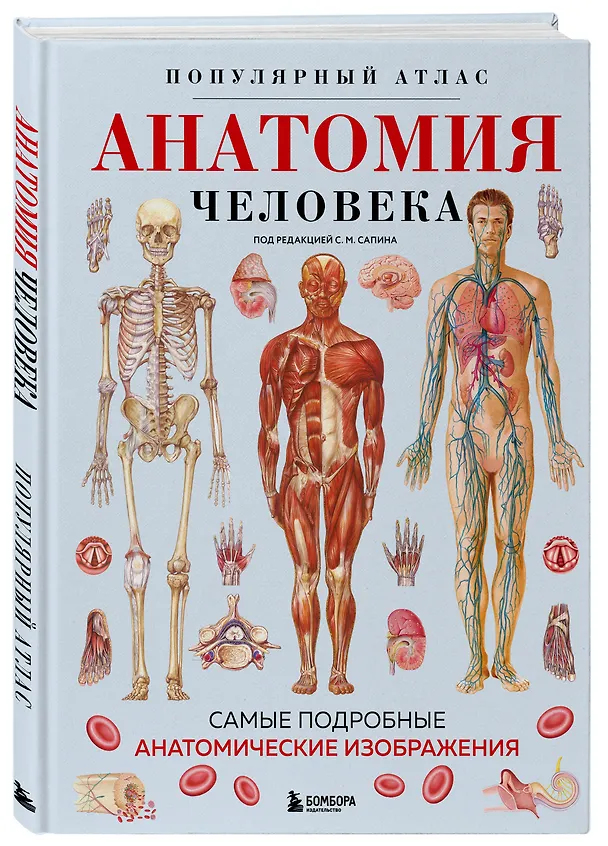 Книга Анатомия человека. Популярный атлас. Самые подробные анатомические изображения () — 6