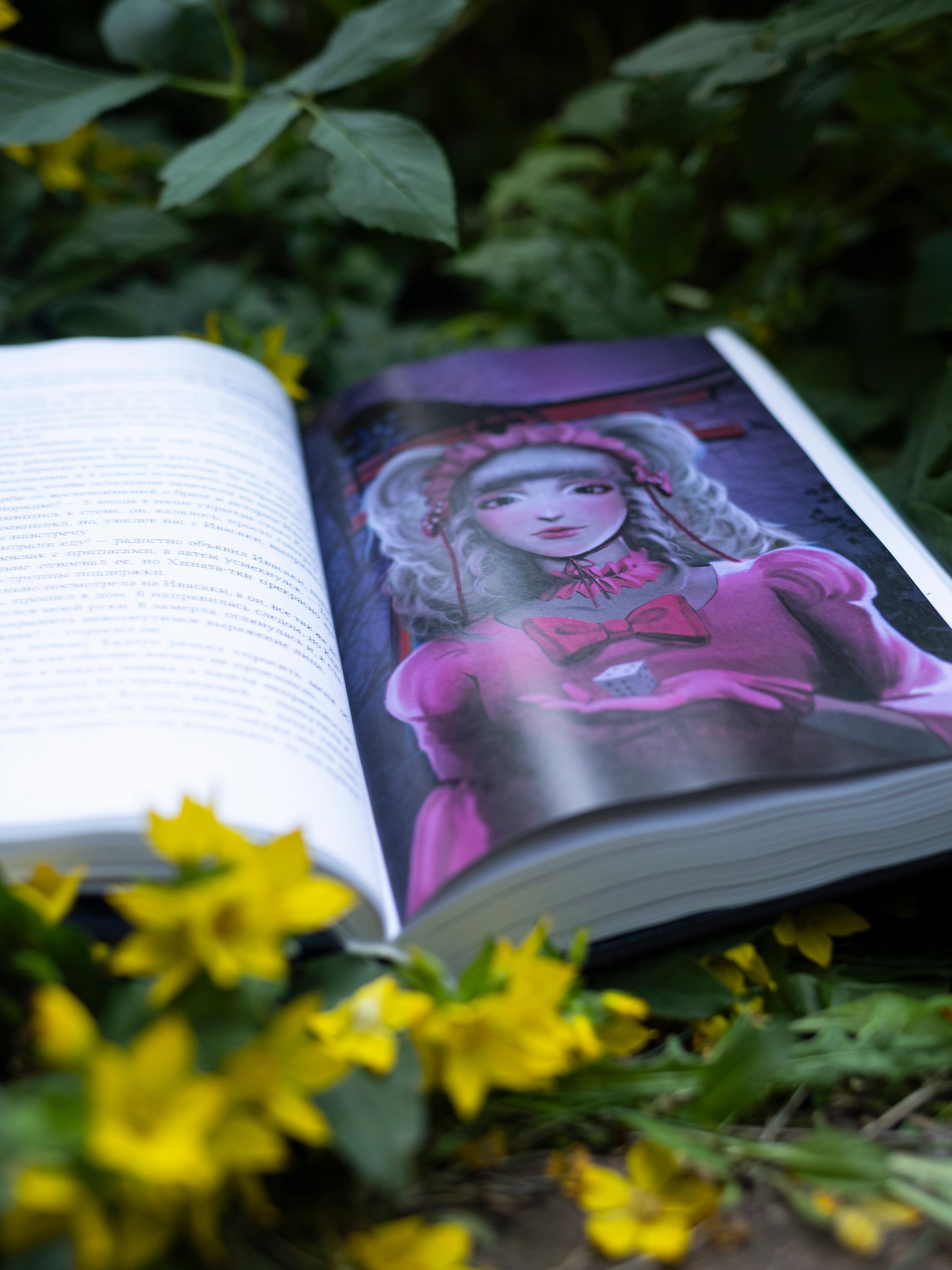 Изображение бумажной книги