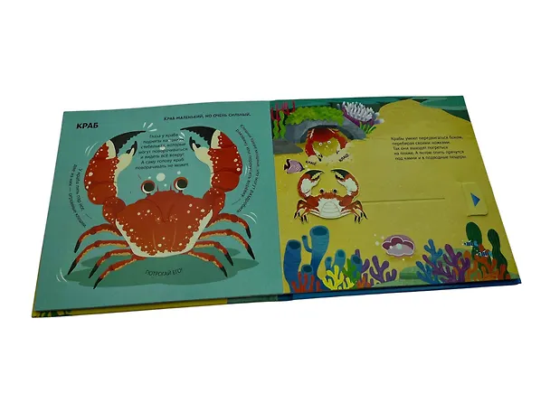 Книга Подводный мир. Тактильная книга-панорамка () — 8