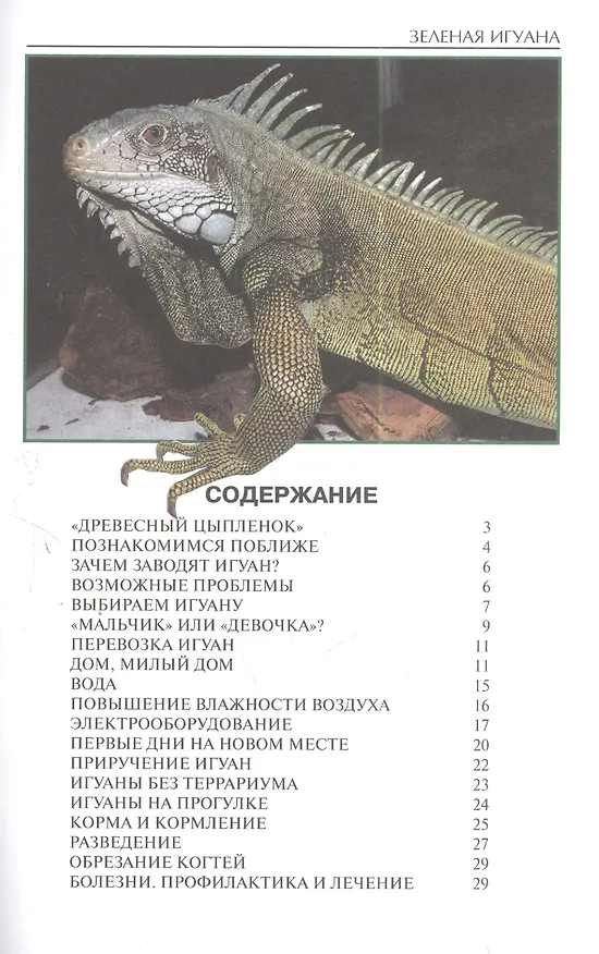 Книга Зеленая игуана (Александр Гуржий) — 3