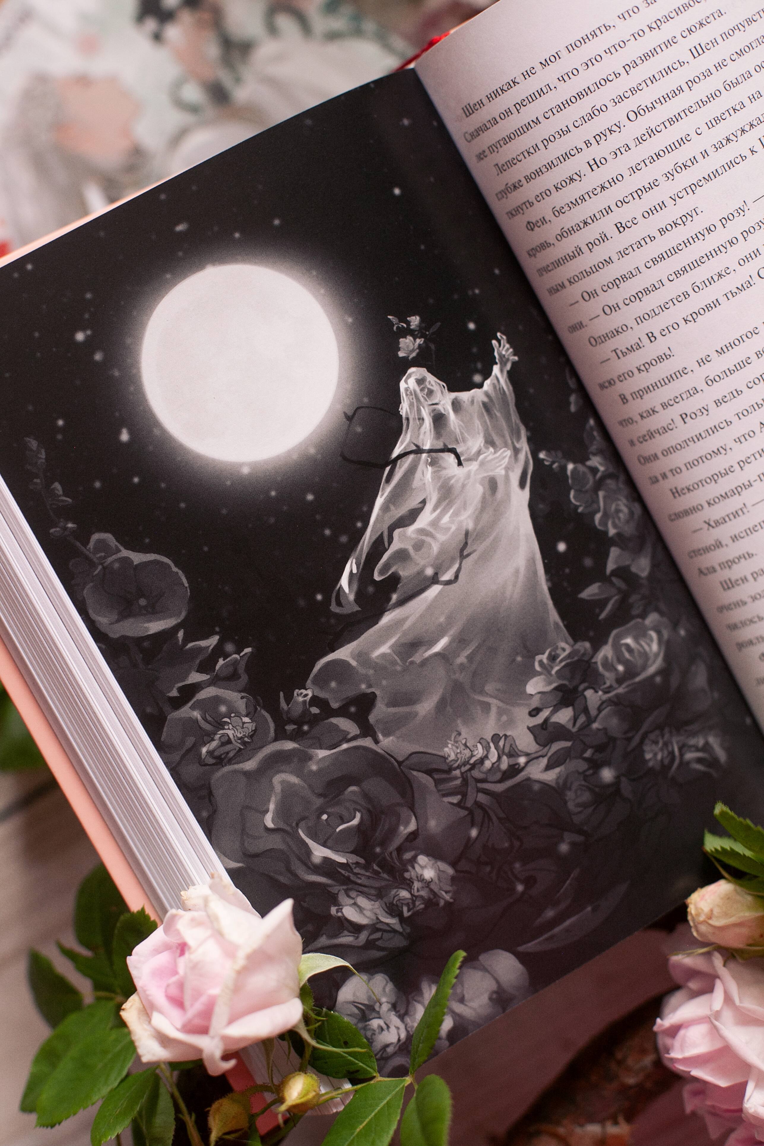 Изображение бумажной книги