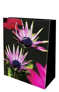 Пакет подарочный бумажный А5 14*20 ламинат, универ.тематика/муж., ассорти MS, МегаМАГ