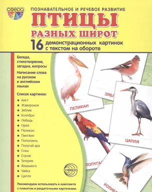 Дем. картинки СУПЕР Птицы разных широт. 16 демонстр. картинок с текстом (173х220 мм) — 2582285 — 1