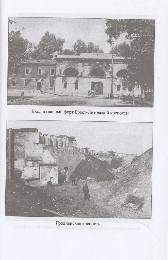 Книга Осень 1914 года. Схватка за Польшу  (12+) (Максим Оськин) — 5