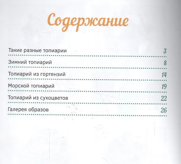 Книга Топиарии своими руками (Виктория Сокур) — 2