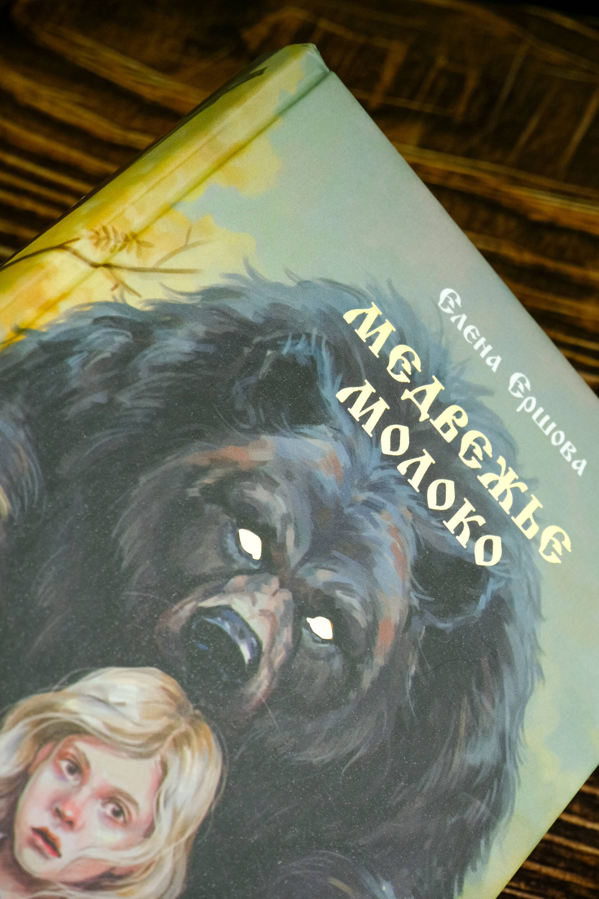 Изображение бумажной книги