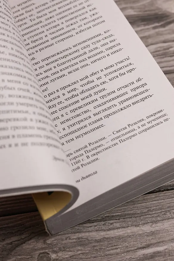 Книга Эликсиры дьявола (Эрнст Теодор Амадей Гофман) — 9