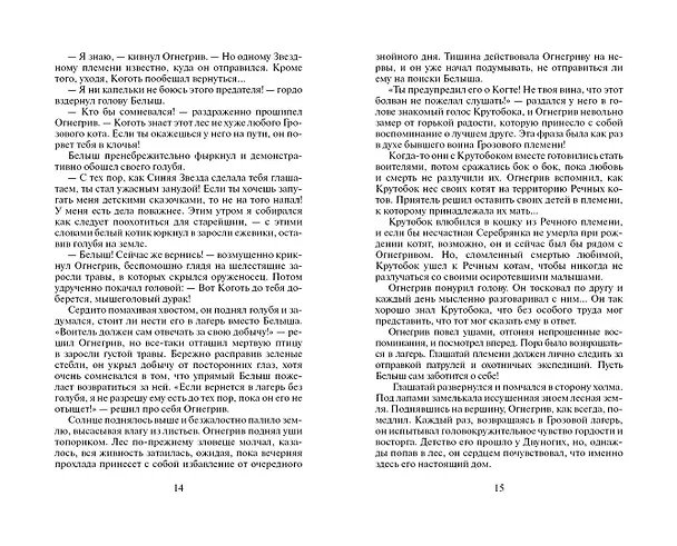 Книга Бушующая стихия (Эрин Хантер) — 7