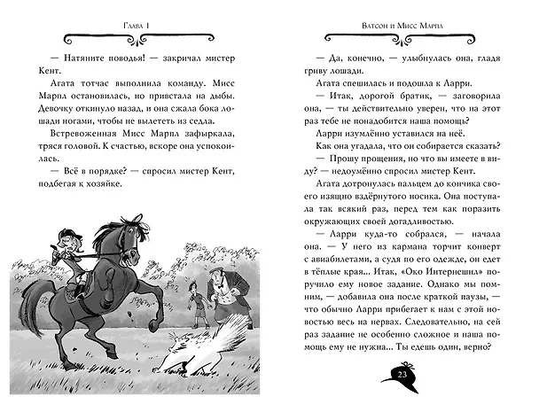 Книга Агата Мистери. Кн.12. Таинственная роза Альгамбры (Стив Стивенсон) — 14