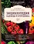 Новейшая иллюстрированная энциклопедия садовода и огородника (темная) — 2717172 — 1