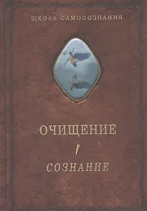 Очищение. Том 1. Сознание
