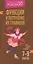 Функции и построение их графиков 7-9 классы — 2514256 — 1