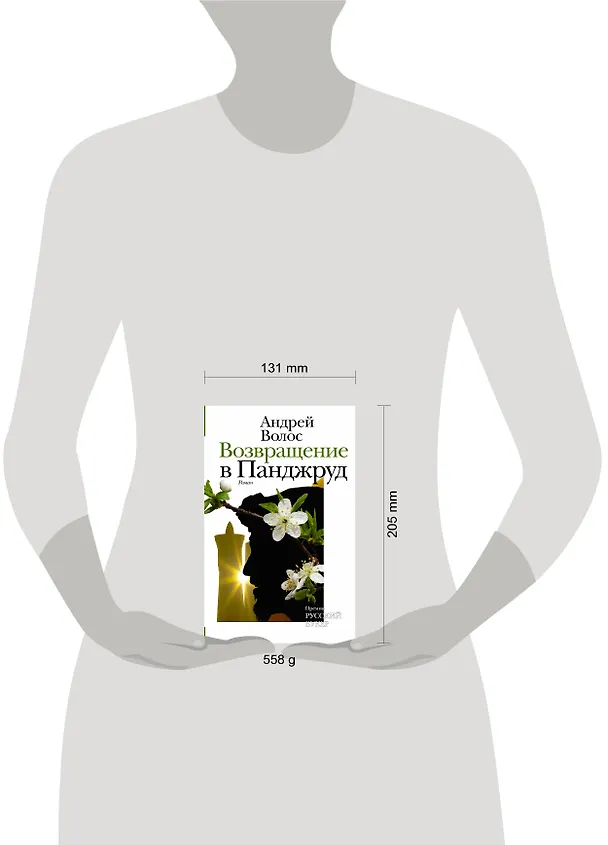 Книга НовРусКлассика Волос Возвращение в Панджруд (РУССКИЙ БУКЕР) (Андрей Волос) — 4