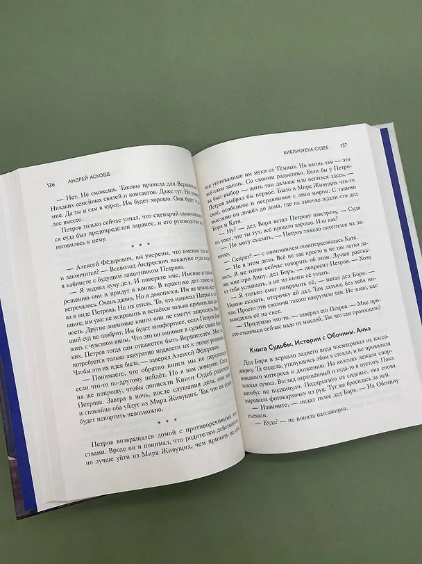 Книга Библиотека судеб. Прошлое не исправить, но будущее ещё можно переписать (Андрей Асковд) — 13